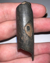 Load image into Gallery viewer, Large Ice Age Fossil Ground Sloth Megalonyx Tooth 2.25 Inches
