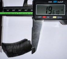 Load image into Gallery viewer, Rare Ice Age Fossil Ground Sloth Paramylodon Canine Tooth 1.96 Inches
