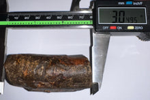 Load image into Gallery viewer, Rare Huge Ice Age Fossil Giant Ground Sloth Eremotherium Tooth from Florida 3.04 Inches
