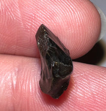 Load image into Gallery viewer, Super Rare Denversaurus Fossil Tooth Nodosaur Ankylosaurid .47 Inches
