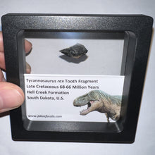 Load image into Gallery viewer, Framed Tyrannosaurus Rex Fossil Tooth Fragment .76 Inches
