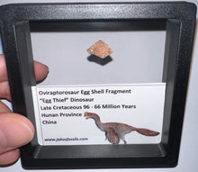 Load image into Gallery viewer, Framed Oviraptor type Dinosaur Eggshell Lot One Per Order .5 Inches

