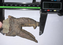 Load image into Gallery viewer, HUGE Ice Age Fossil Woolly Rhinoceros Molar Coelodonta Antiquitatis 3.25 Inches
