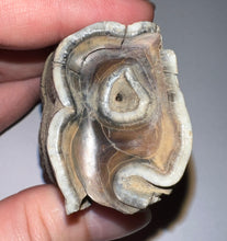 Load image into Gallery viewer, HUGE Ice Age Fossil Woolly Rhinoceros Molar Coelodonta Antiquitatis 3.38 Inches
