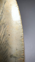 Load image into Gallery viewer, Huge Megalodon Fossil Shark Tooth 5.01 Inches! Not Repaired! INCREDIBLE Serrations!
