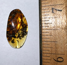 Load image into Gallery viewer, Dinosaur age Burmite Fossil AMBER with SUPER RARE 2 HUGE 14 MM FEATHERS! TESTED FOR AUTHENTICITY!!
