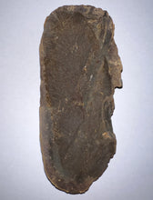 Load image into Gallery viewer, HUGE Fossil Seed Fern Macroneuropteris from Mazon Creek both halves 3.8 inches
