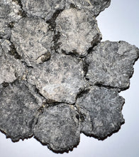 Load image into Gallery viewer, GEM Glyptodont Rare 18 Connected Scutes 8.14 Inches
