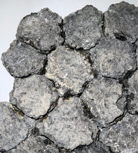 Load image into Gallery viewer, GEM Glyptodont Rare 18 Connected Scutes 8.14 Inches

