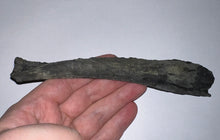 Load image into Gallery viewer, Edestus Fossil Scissor Shark Tooth 6.6 Inches Pre Dinosaur Shark Tooth!
