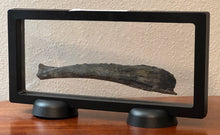 Load image into Gallery viewer, Edestus Fossil Scissor Shark Tooth 6.6 Inches Pre Dinosaur Shark Tooth!
