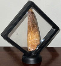 Load image into Gallery viewer, MONSTER Spinosaur Fossil Dinosaur Tooth 4.28 Inches with Display Stand and Case NO REPAIR
