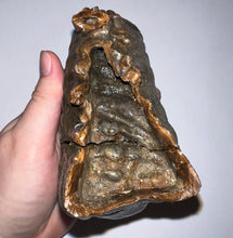 Load image into Gallery viewer, Ice Age Fossil Woolly Mammoth Molar 5.34 Inches from Siberia
