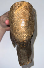 Load image into Gallery viewer, GEM Large Ice Age Fossil Woolly Mammoth Molar 7.64 Inches from Siberia
