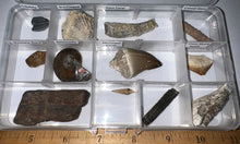 Load image into Gallery viewer, Beginner Collection of 12 labeled Fossils in a clear case. Includes Mosasaur Tooth, Dinosaur Bone Fragment, Mastodon Molar Fragment and more!

