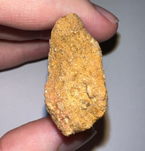 Load image into Gallery viewer, Monster Carcharodontosaur Fossil Tooth 3.59 Inches Incredible Serrations
