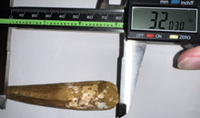 Load image into Gallery viewer, HUGE Spinosaur Fossil Dinosaur Tooth 3.2 Inches with Display Stand and Case
