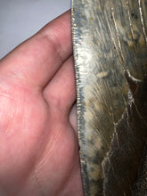 Load image into Gallery viewer, Monster Size Megalodon Fossil Shark Tooth 6.44 Inches Fantastic Serrations! Not Repaired!
