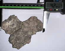 Load image into Gallery viewer, Glyptodont Rare 3 Connected Scutes 4.28 Inches
