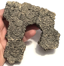 Load image into Gallery viewer, Glyptodont Rare 6 Connected Scutes 4.86 Inches
