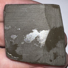 Load image into Gallery viewer, Ammolite Ammonite Gem Stone from Alberta 1.4 Inches
