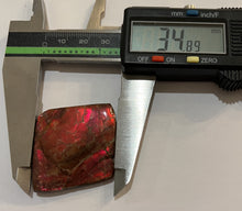 Load image into Gallery viewer, Ammolite Ammonite Gem Stone from Alberta 1.4 Inches
