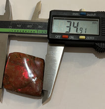 Load image into Gallery viewer, Ammolite Ammonite Gem Stone from Alberta 1.4 Inches
