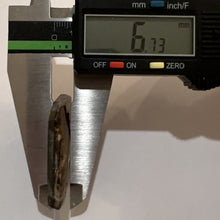 Load image into Gallery viewer, Ammolite Ammonite Gem Stone from Alberta 1.4 Inches
