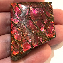 Load image into Gallery viewer, Ammolite Ammonite Gem Stone from Alberta 1.8 Inches

