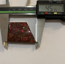 Load image into Gallery viewer, Ammolite Ammonite Gem Stone from Alberta 1.8 Inches
