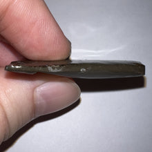 Load image into Gallery viewer, Ammolite Ammonite Gem Stone from Alberta 1.7 Inches
