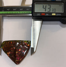 Load image into Gallery viewer, Ammolite Ammonite Gem Stone from Alberta 1.7 Inches

