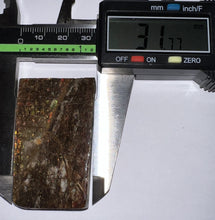 Load image into Gallery viewer, Ammolite Ammonite Gem Stone from Alberta 2.1 Inches
