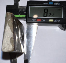 Load image into Gallery viewer, Ammolite Ammonite Gem Stone from Alberta 2.1 Inches
