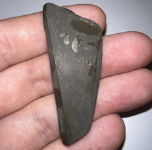 Load image into Gallery viewer, Ammolite Ammonite Gem Stone from Alberta 2.1 Inches
