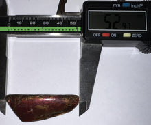 Load image into Gallery viewer, Ammolite Ammonite Gem Stone from Alberta 2.1 Inches
