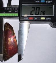 Load image into Gallery viewer, Ammolite Ammonite Gem Stone from Alberta 2.1 Inches

