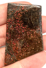 Load image into Gallery viewer, Ammolite Ammonite Gem Stone from Alberta 2.1 Inches
