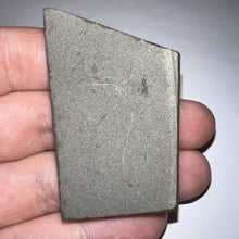 Load image into Gallery viewer, Ammolite Ammonite Gem Stone from Alberta 2.1 Inches
