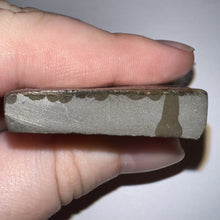 Load image into Gallery viewer, Ammolite Ammonite Gem Stone from Alberta 2.1 Inches
