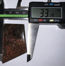 Load image into Gallery viewer, Ammolite Ammonite Gem Stone from Alberta 2.1 Inches
