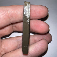 Load image into Gallery viewer, Ammolite Ammonite Gem Stone from Alberta 1.9 Inches
