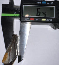 Load image into Gallery viewer, Ammolite Ammonite Gem Stone from Alberta 1.9 Inches
