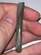 Load image into Gallery viewer, Ammolite Ammonite Gem Stone from Alberta 2 Inches
