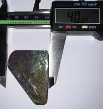 Load image into Gallery viewer, Ammolite Ammonite Gem Stone from Alberta 2 Inches
