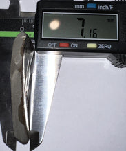 Load image into Gallery viewer, Ammolite Ammonite Gem Stone from Alberta 2 Inches
