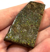Load image into Gallery viewer, Ammolite Ammonite Gem Stone from Alberta 2 Inches
