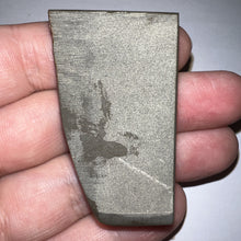 Load image into Gallery viewer, Ammolite Ammonite Gem Stone from Alberta 2 Inches
