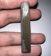 Load image into Gallery viewer, Ammolite Ammonite Gem Stone from Alberta 2 Inches
