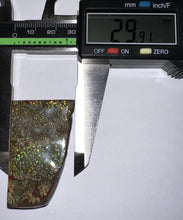 Load image into Gallery viewer, Ammolite Ammonite Gem Stone from Alberta 2 Inches
